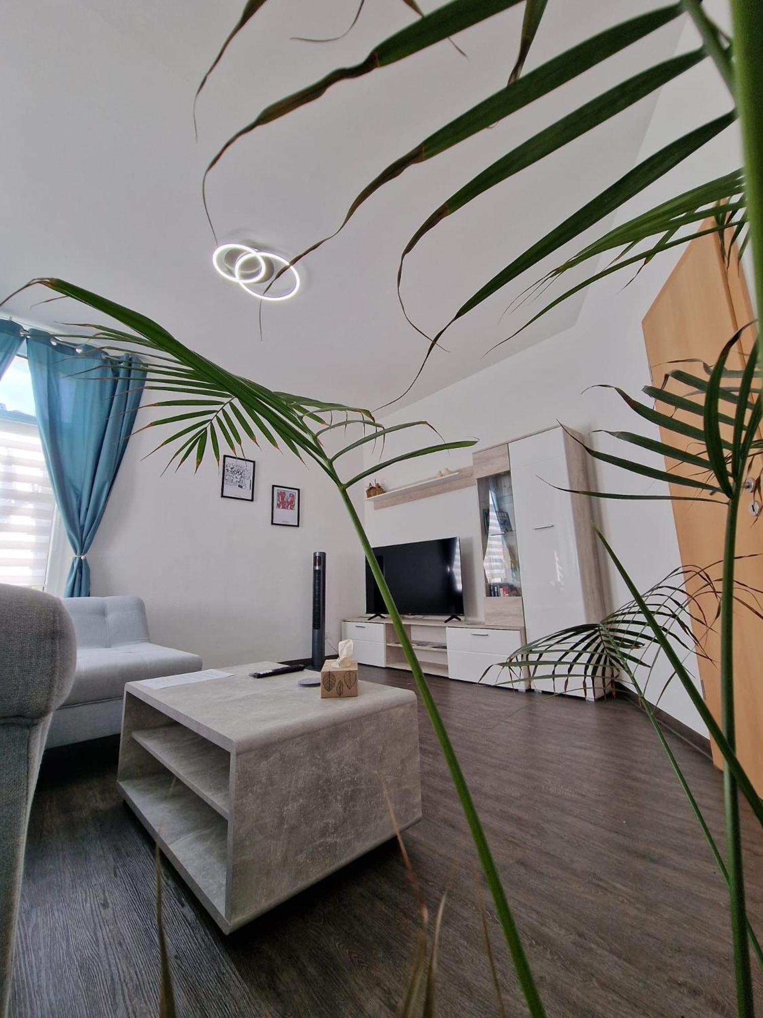 Ferienwohnung Mit Fitnessstudio Top1 Plauen Eksteriør billede