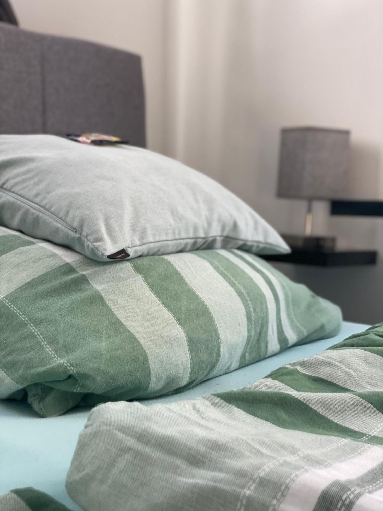 Ferienwohnung Mit Fitnessstudio Top1 Plauen Eksteriør billede